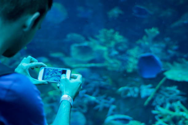istock Taking pictures in aquarium 832285476