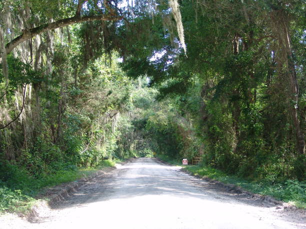 istock Canopy road, 190th Street SW, Alachua County Florida 832286782