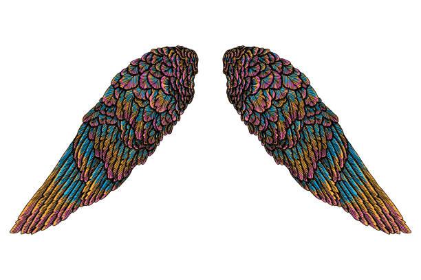 istock Sacred colourful bird wings of different shape in open position isolated on white background. Colorful angel wings hand drawing sketch. Hipster tattoo or vintage body art concept. Vector. 832289530