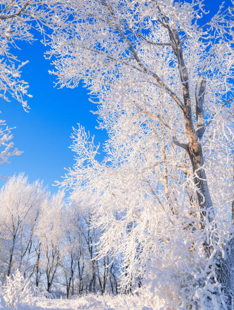 istock winter, winter-tide, winter-time 832301660