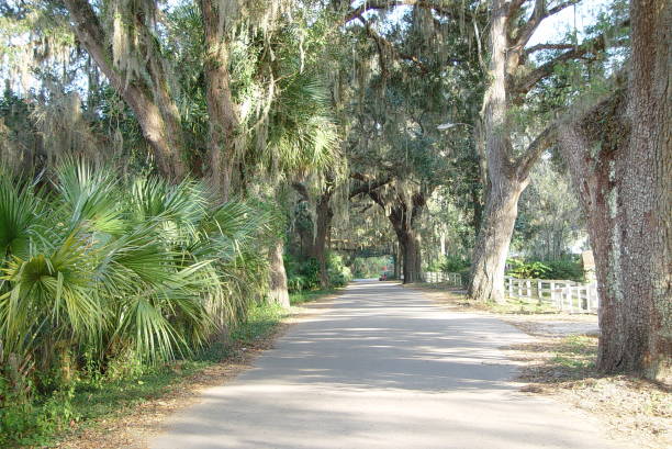 istock Canopy road, Whiting Street, Alachua County Florida 832317064