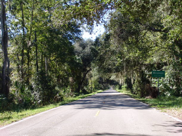 istock Canopy road, Tuscawilla Road, Alachua County Florida 832317618