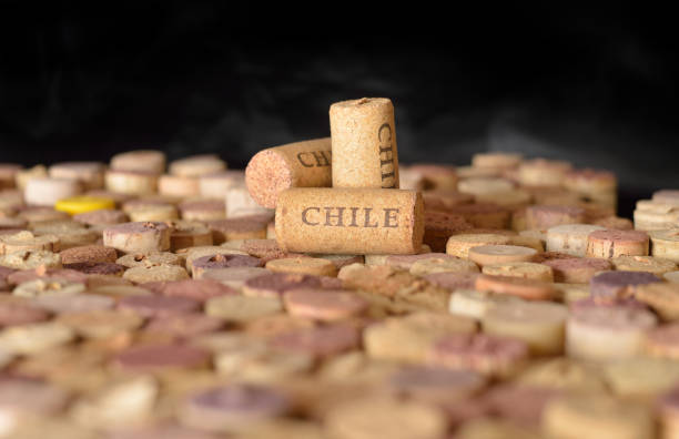 Enólogos de países. Nome do Chile em rolhas de vinho. - foto de acervo