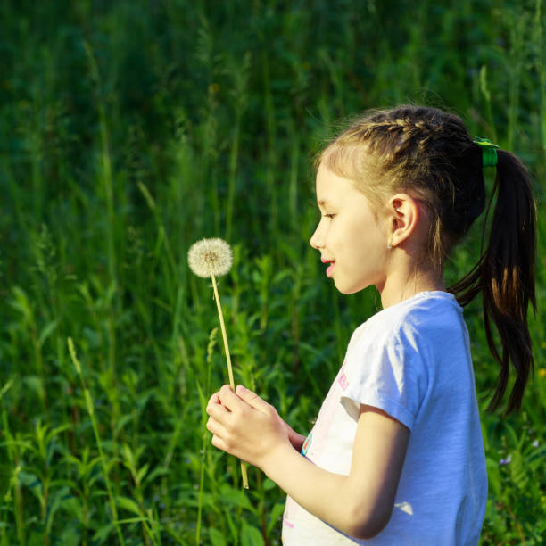 istock Beautiful child blowing away dandelion flower in spring. 832390626