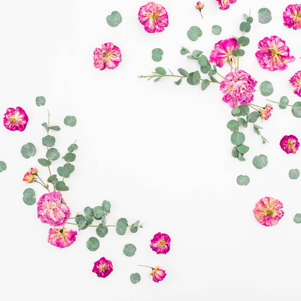 istock Flowers composition. Floral frame with pink roses and eucalyptus branches. Flat lay, top view. 832390642