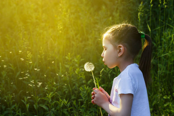 istock Beautiful child blowing away dandelion flower in spring. 832390762