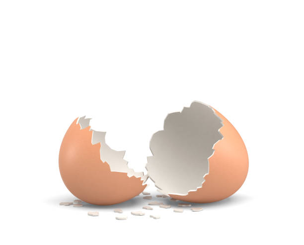 istock 3d rendering of an empty and cracked chicken egg with a brown shell on white background 832456744
