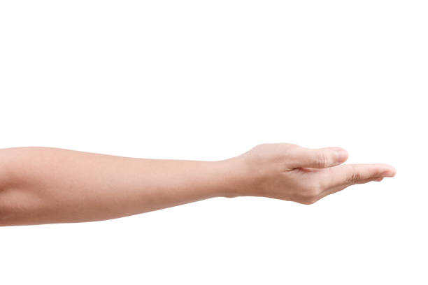 istock Woman beautiful hand holding something like a open and ready help or receive isolated on white with clipping path 832486162