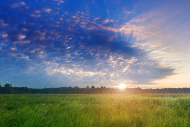 istock Landscape with sunrise in blooming meadow 832524678