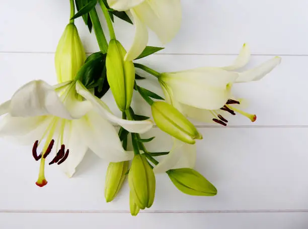 Lovely bouquet of cream-white colored Lily flowers and flower bulbs on a white wooden background