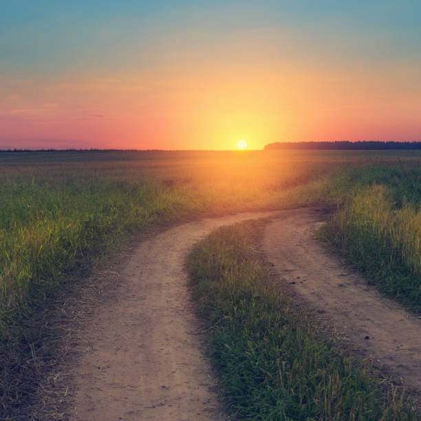 istock Country road in field over sunset 832525514