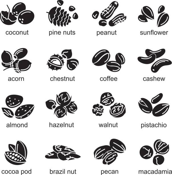 muttern icons set - walnut nut nutshell peanut stock-grafiken, -clipart, -cartoons und -symbole