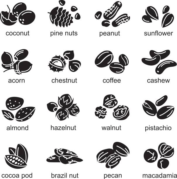 nuts icons set collection of monochrome nuts icons pecan icon stock illustrations
