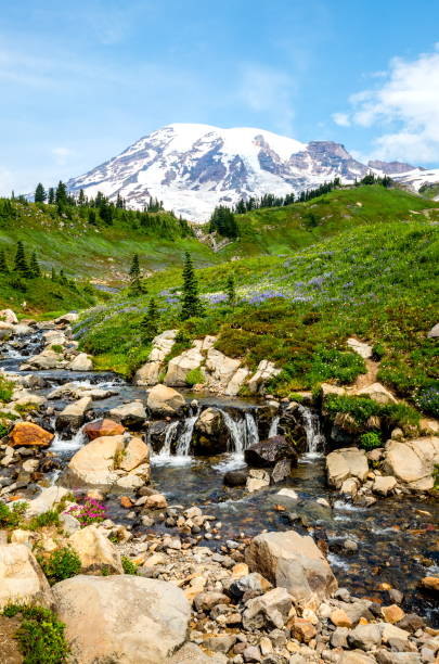istock Mt. Rainier, Washington-USA 832549412