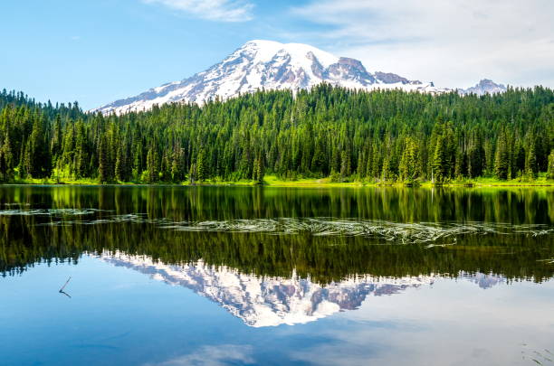 istock Mount Rainier and Reflection Lake, Washington-USA 832549416
