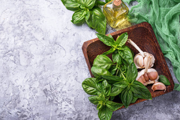 istock Fresh green basil with garlic and olive oil 832566746
