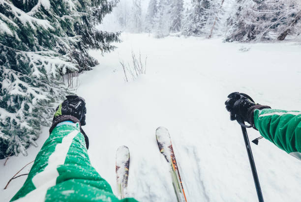 Skier in the wild snowy forest