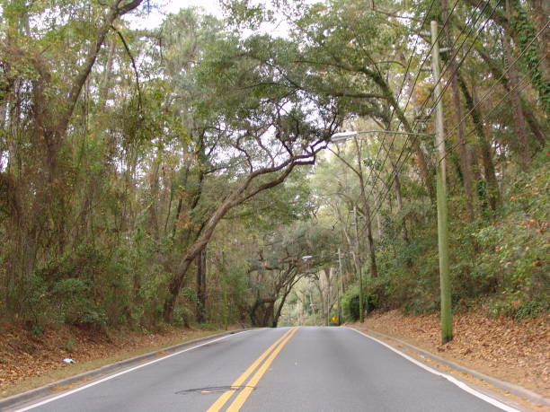 istock Canopy road, Centerville Road, Tallahassee Florida 832598762