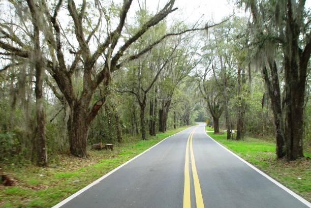 istock Canopy road, Old Micoosukee Road, Tallahassee Florida 832604826