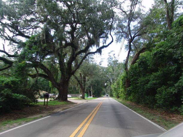istock Canopy road, Cross Road, Tallahassee Florida 832604946