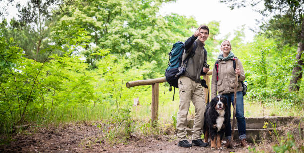 Hikers with dog in forest