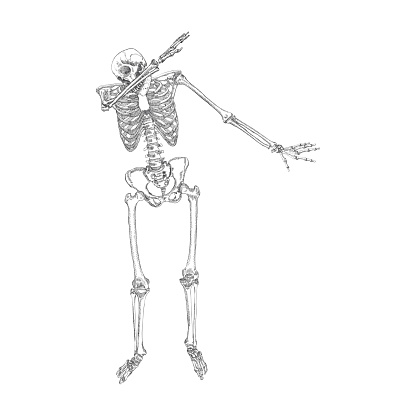 Human Skeleton Making Dab Perform Dabbing Dance Move Gesture Posing On White Background Stock ... Human Skeleton Making Dab Perform Dabbing Dance Move Gesture Posing On White Background Stock ...