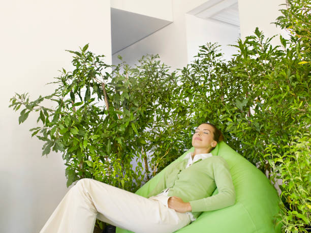 empresaria en beanbag rodeado de plantas - lifestyles indoors nature business fotografías e imágenes de stock