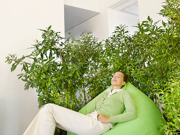 biznesmenka z beanbag otoczony roślin - lifestyles indoors nature business zdjęcia i obrazy z banku zdjęć