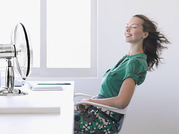 Businesswoman enjoying fan in office  electric fan stock pictures, royalty-free photos & images