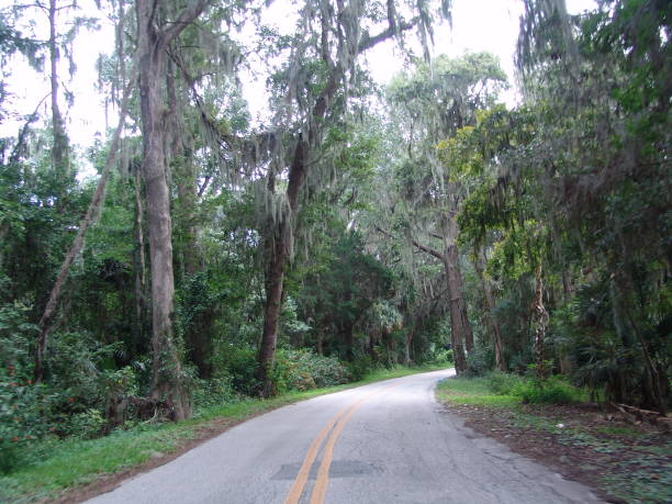istock Canopy road, Lakeshore Drive, Seminole County Florida 832666422