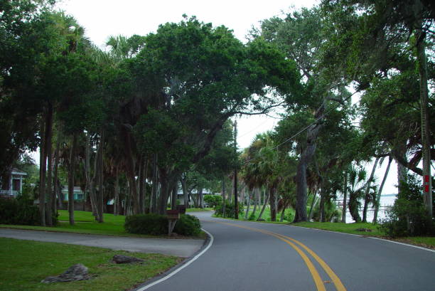 istock CanopyRoad, Rockledge Drive, Rockledge, Brevard County Florida 832667140