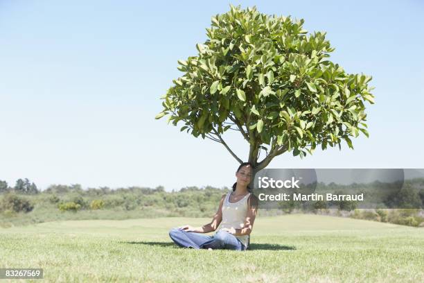 Donna Seduta Di Ombreggiatura Sotto Albero - Fotografie stock e altre immagini di Albero - Albero, Penombra, Blu