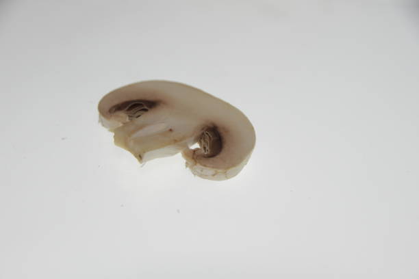 istock food close mushroom 832682146