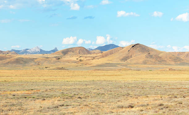 istock Semi-desert with withered grass, hills and mountains in the background 832689362