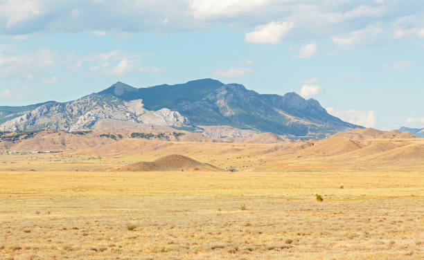 istock Panorama of the semi-desert 832689490