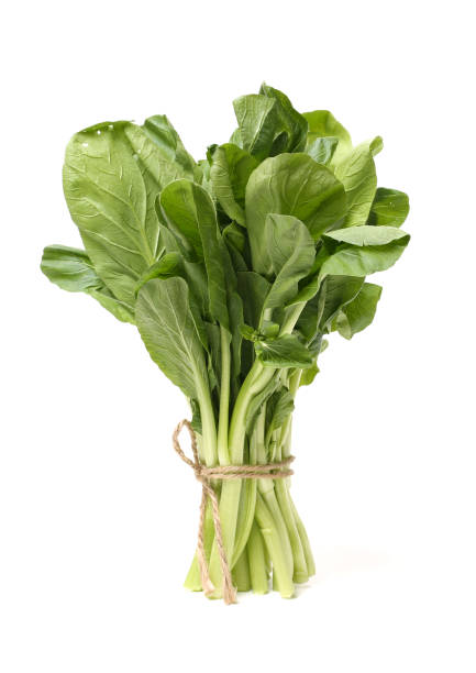 istock Chinese Mustard isolated  on white background 832724872