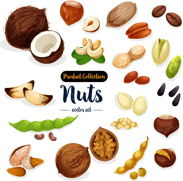 ilustrações, clipart, desenhos animados e ícones de nozes, sementes, ícone dos desenhos animados de feijão definido para o projeto de alimentos - peanut nut snack isolated
