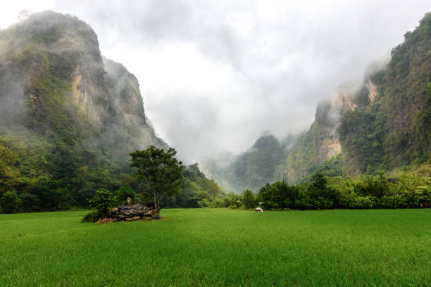 morning scenery at rammang rammang, Maros, a village that surrounding beautiful karst hill