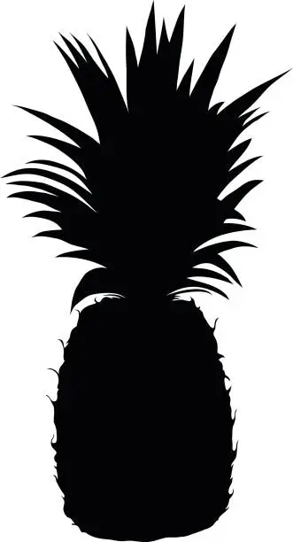 Vector illustration of Pineapple Silhouette