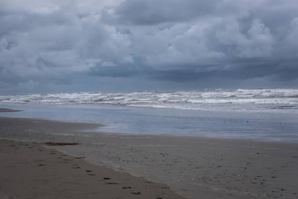 istock A day on the beach in Forks, Washington 832775890