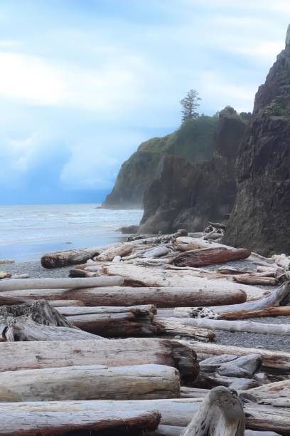 istock A day on the beach in Forks, Washington 832776044