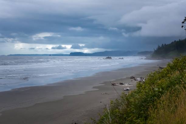 istock A day on the beach in Forks, Washington 832782382
