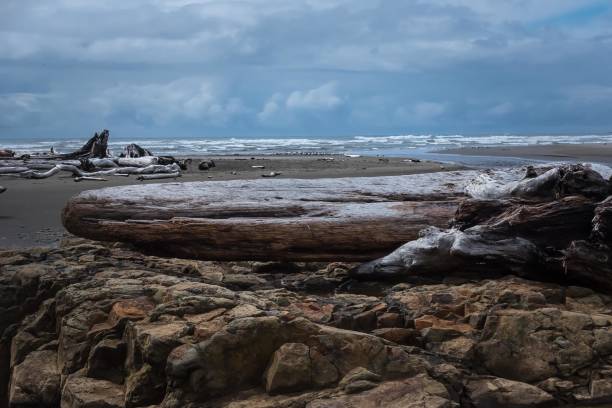 istock A day on the beach in Forks, Washington 832784930