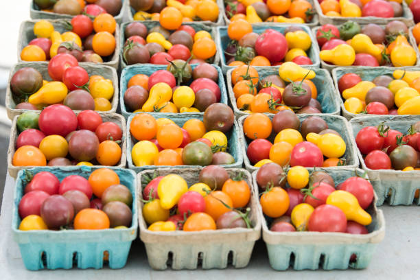 istock Cherry tomatoes at a farmers market 832846808