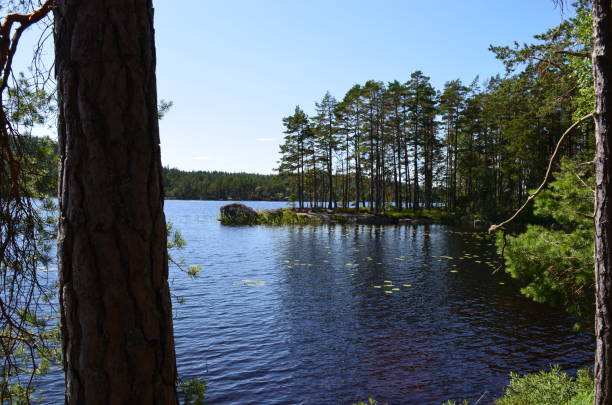 istock sweden lake in summer 832884558
