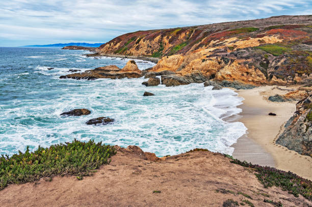istock Pacific Coastline Views Bodega Bay California 832895806