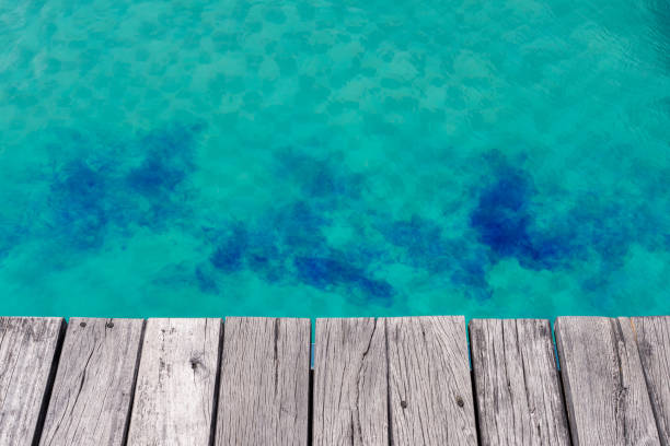 Blue liquid chlorine in empty green pool with wooden plank edge.