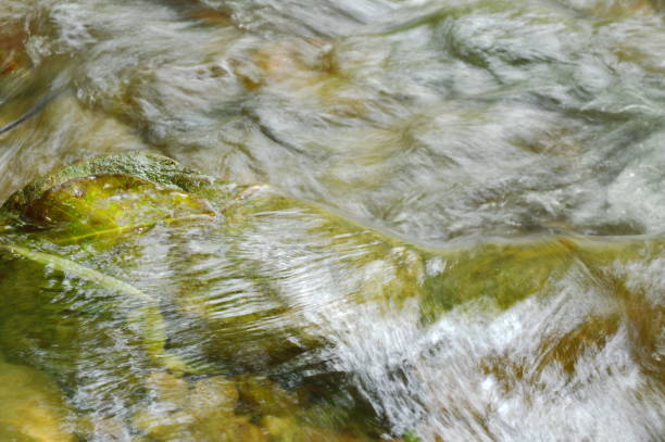 fiume foglia che scorre bloccato sulla cataratta e fare schizzi d'acqua - indirection foto e immagini stock