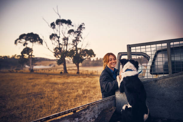 The best friend a farmer could have
