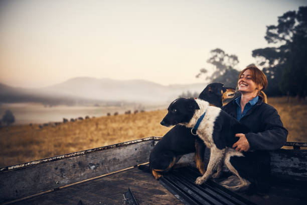 istock Live where you feel most alive 832988280
